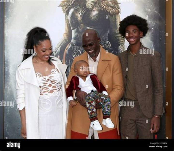 Exploring The Intriguing Djimon Hounsou Relationship